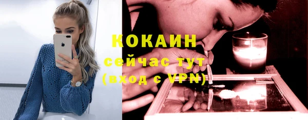 ПСИЛОЦИБИНОВЫЕ ГРИБЫ Абаза