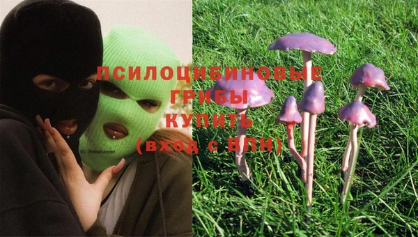 мдпв Абинск