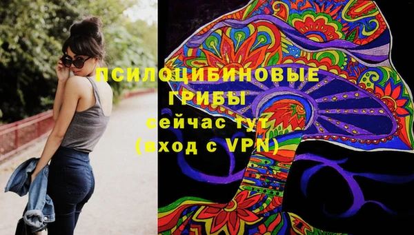 мдпв Абинск