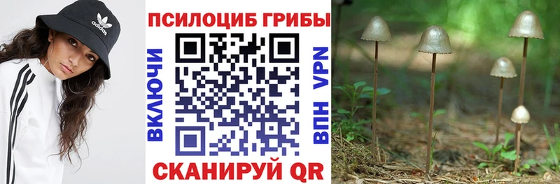 Псилоцибиновые грибы Magic Shrooms  МЕГА как зайти  Томилино  где найти наркотики 